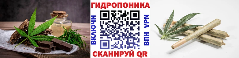 Купить закладки  Партизанск  Canna-Cookies конопля 