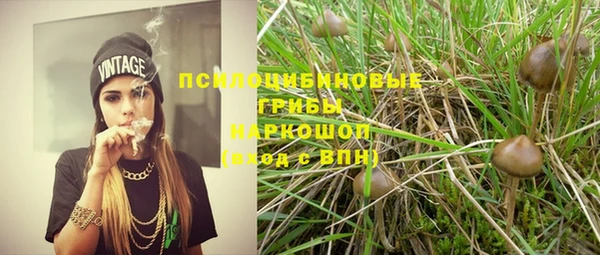 бошки Михайлов