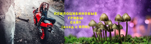 бошки Михайлов