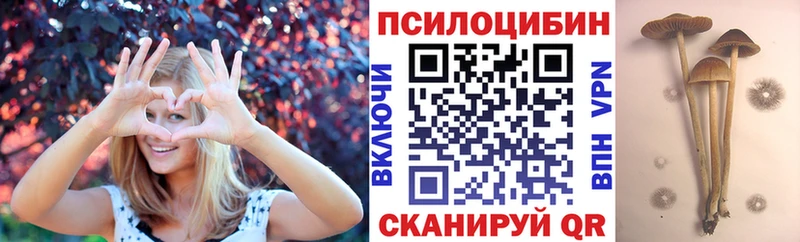 Купить закладки  Партизанск  Псилоцибиновые грибы прущие грибы 